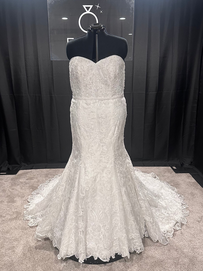Jasmine Bridal T222059N Size 28
