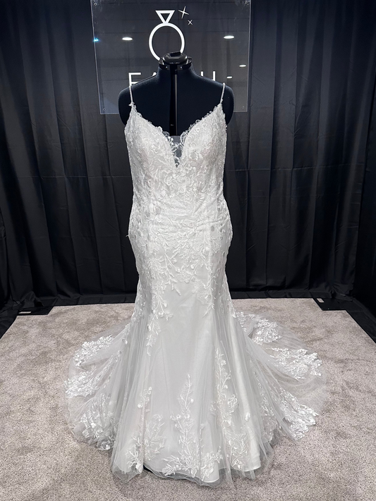 Rosemary Size 18