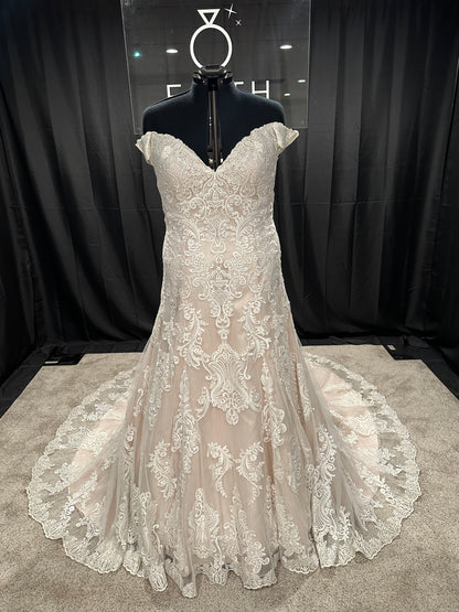 Allure W416 Size 24